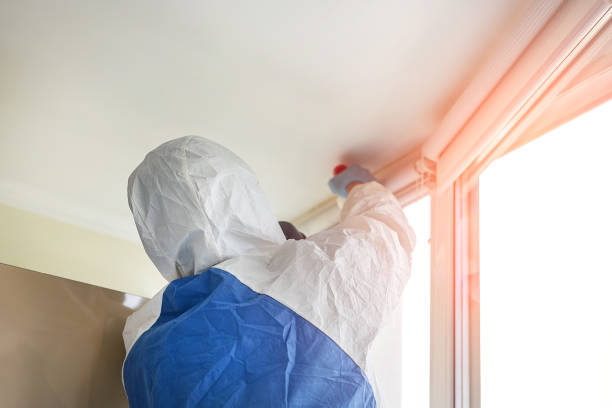 Reliable Gerber, CA Mold Removal Services Solutions